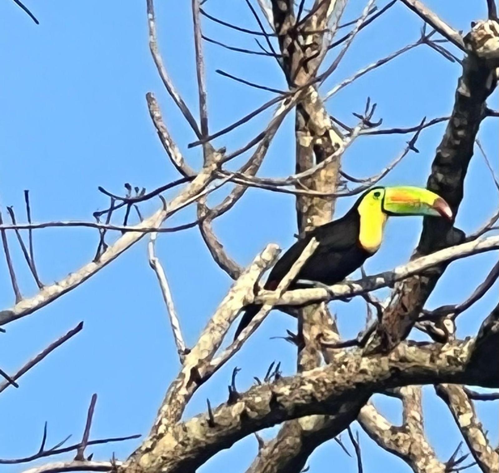 Tawaca Ecohotel Calabazo  المظهر الخارجي الصورة